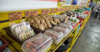 疫情严峻 存在风险 丹餐饮业 静观其变
