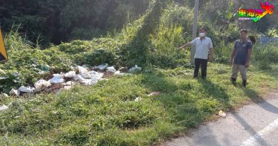 暹猛路弃死鱼    腐臭三周问题获解决
