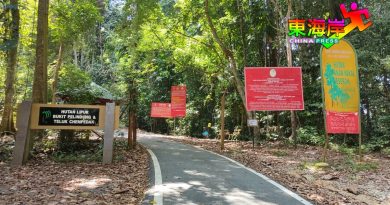彭州森林下月开？ 彭森林局：等州政府决定