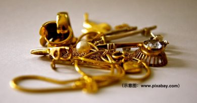 网上购脚链坠骗局 外籍女子被骗2300