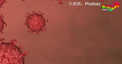 1434病例 7死 3新感染群 丹州还是千千声