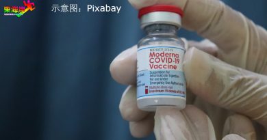 新增4感染群 8人不治 丹单日增加1213病例