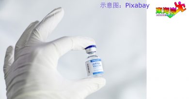 丹增1471病例 17人不治增8感染群