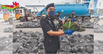 洋灰槽车载葛冬叶 5.6吨全充公