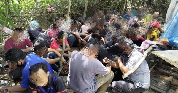 136名毒友藏身丛林的毒窟群聚“追龙”时，遭警方一网打尽。