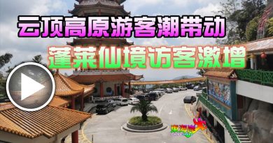 云顶高原游客潮带动     蓬莱仙境访客激增 （有视频）