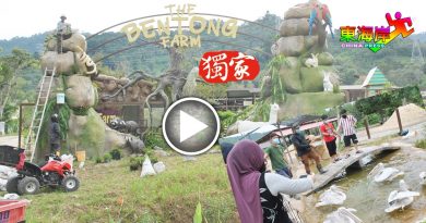 ◤新冠又一年◢西彭旅游业历经数月寒冬  业者做好准备 迎游客