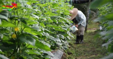 【今日东海岸】雇主：降低群聚感染风险  已接种者   优先聘请