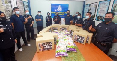 疫情期间政变被迫州选    叶运兴谴责甲4州议员