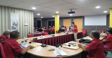 刘星达：人口虽少      甘马挽华裔应团结