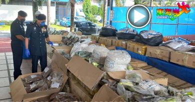 丹州警方销毁5500万毒品（有视频）