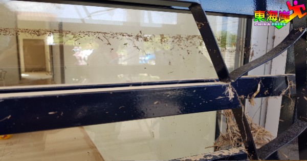 关丹县多区沦为水灾重灾区,洪水水位超过半间房屋而留下清晰痕迹。