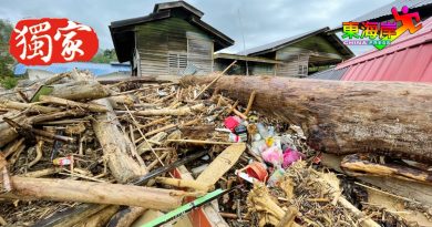◤大水灾◢“树桐海啸”袭新村  世外桃源变色！
