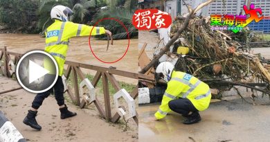 大水冲上道路  爱心警员救黄鳝