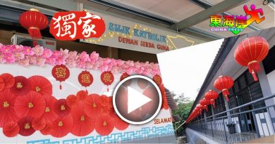 ◤虎跃新程◢华中校园红彤彤  新年气息浓
