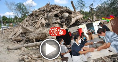 ◤大水灾◢“树桐海啸”新村  获慈济祝福金