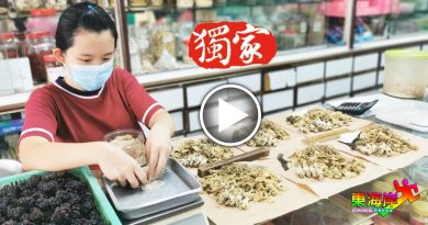 病例飙升 吃煎炸食物发热气  文冬凉茶材料热卖