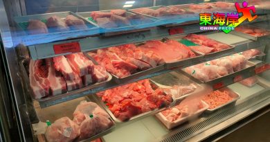 农场生猪价格暴涨  元宵节  吃贵猪肉