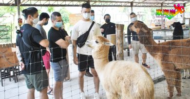方训勇：激活西彭旅游业  探讨推展 小镇旅游