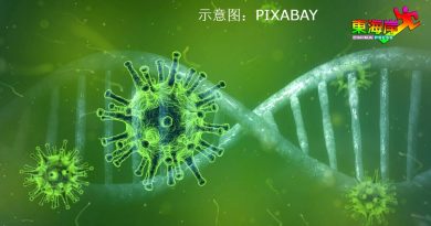登州单日染疫人数破千宗