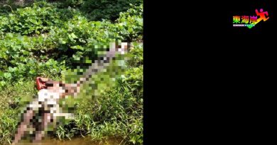 疑使用汽车电箱抓鱼 两父子触电亡