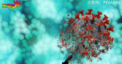 丹增86宗本土病例