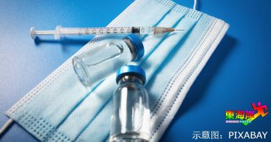 全丹新冠活跃患者621人