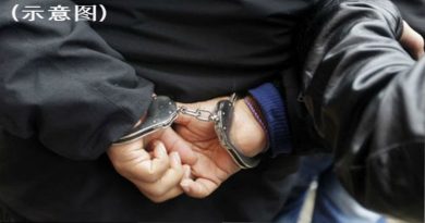 为阿窿招生意   2少年被控