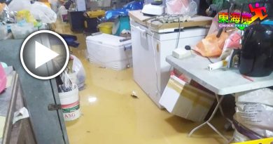 后山翻种猫山王  大水冲下淹民房
