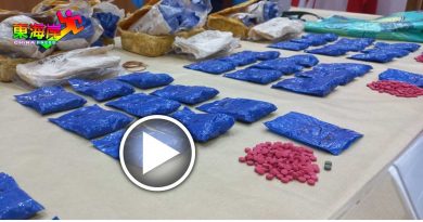 丹肃毒组起获4万8000粒马丸 扣一泰男助查（有视频）