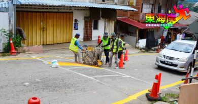 画黄线阻游客乱停泊  武吉丁宜新村路 禁泊车