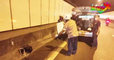 巫裔志消队不避忌  隧道内勇救流浪狗