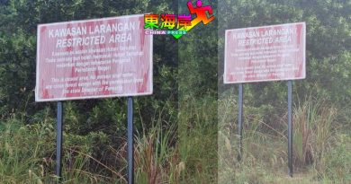 登山友吁丹森林局 提升羊洞山登山便利