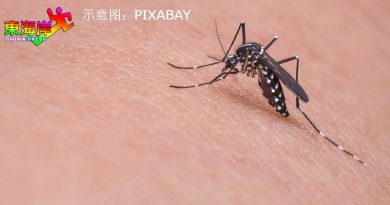 丹州蚊症 上周夺2命