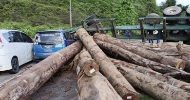 话望生5车连环撞       树桐掉落挡路 大塞车