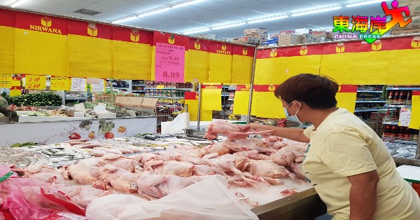消费者趁超市以低于新顶价的价格出售肉鸡，挑选肥美的肉鸡。