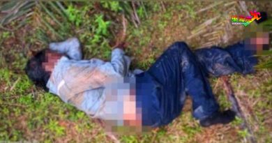 工作时遭大象踏伤脚 园丘工人送院数日不治