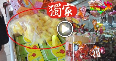 高科技与传统结合  更安全提灯笼！