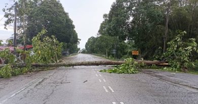 暴风雨袭巴西富地  树倒屋毁  警接31投报