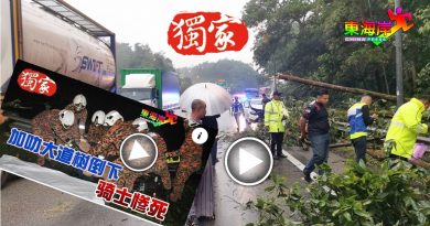 【今日东海岸】山壁会崩塌 大树压死人  加叻大道 还安全吗？