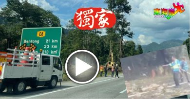 加叻大道豪雨又树倒