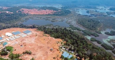 达基尤丁：提交珍尼湖修复报告   保住珍尼湖生物圈保护区地位