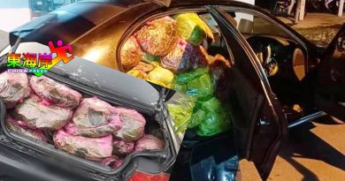 葛冬叶塞满车！ 价值多少?