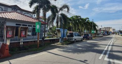 董事部耗资15万  丹中华华中校门  建雨盖