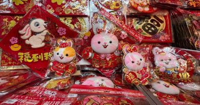 疫后庆新年 年饰涨价  市场仍看俏