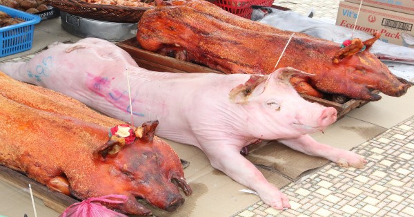 继生猪禁越州过境，今年拜天公金猪及烧肉料成抢手货。