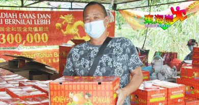 疫情转好市场回暖  文冬年柑热卖