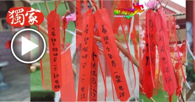 买新手机 电脑 最潮愿望  百年古庙许愿树　挂满科技