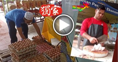 AA级鸡蛋　净鸡  太便宜　一下卖光