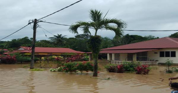 彭亨州5县低洼区在持续多日豪雨后，因河水泛滥而传出水灾灾情。